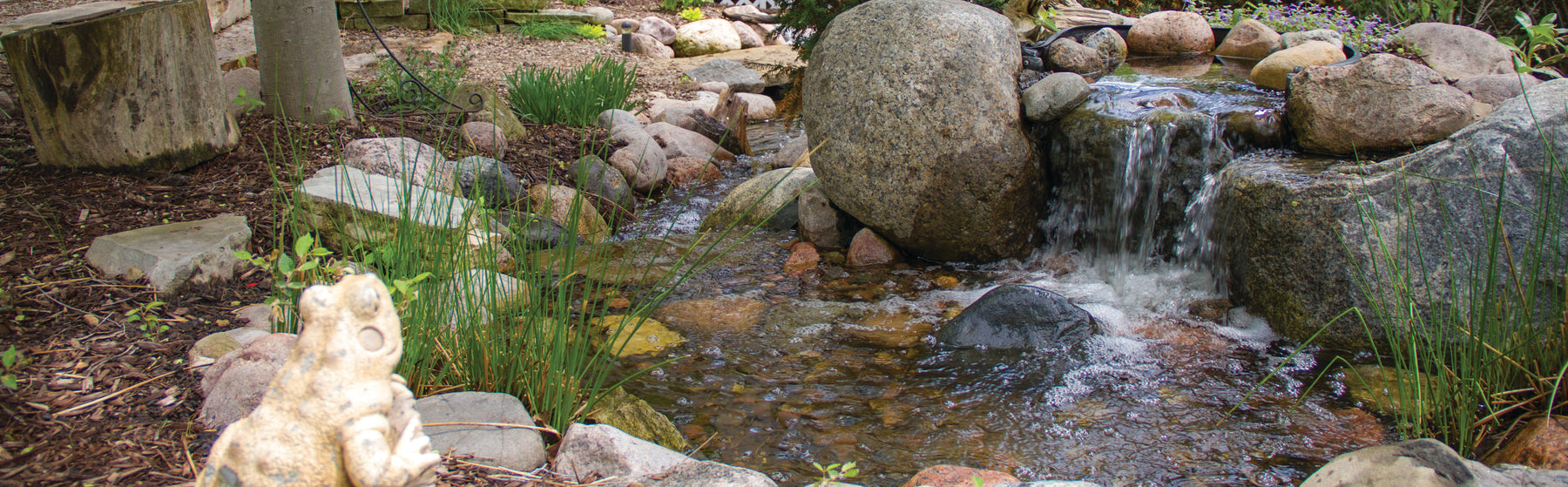 Aquascape Pond