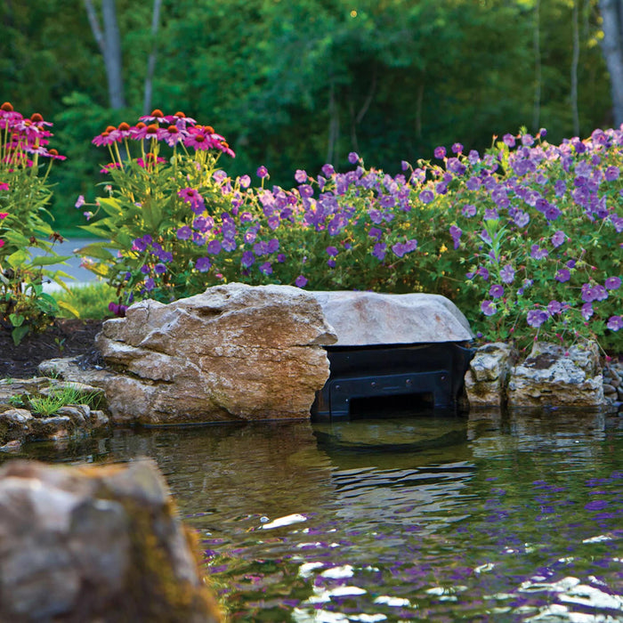 5 Tips To Help Keep Pond Water Clean