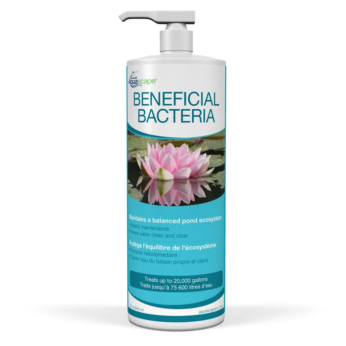 Aquascape - Beneficial Bacteria