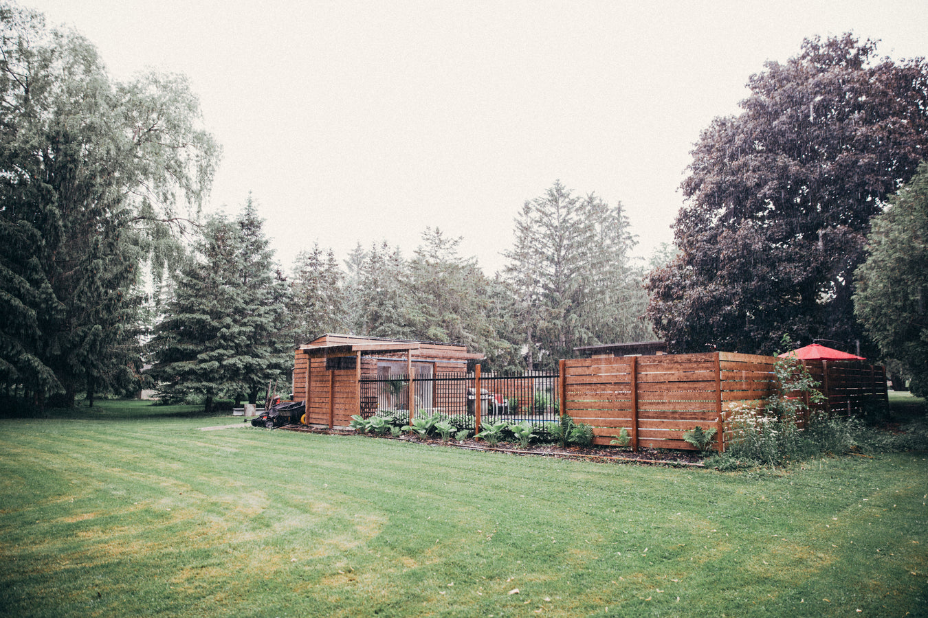 fenced-in-pool-in-grassy-yard