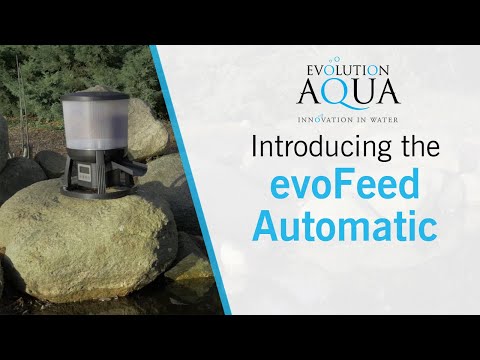 EvoFeed Video